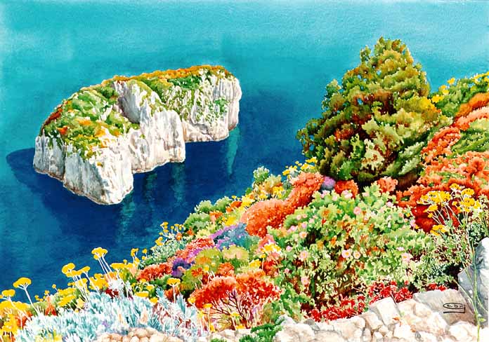 Gabriella Di Natale: Colori di Capri